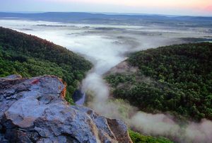 A vista point over looking mountains dense with green trees. A heavy fog sits at the base of the mountains. 