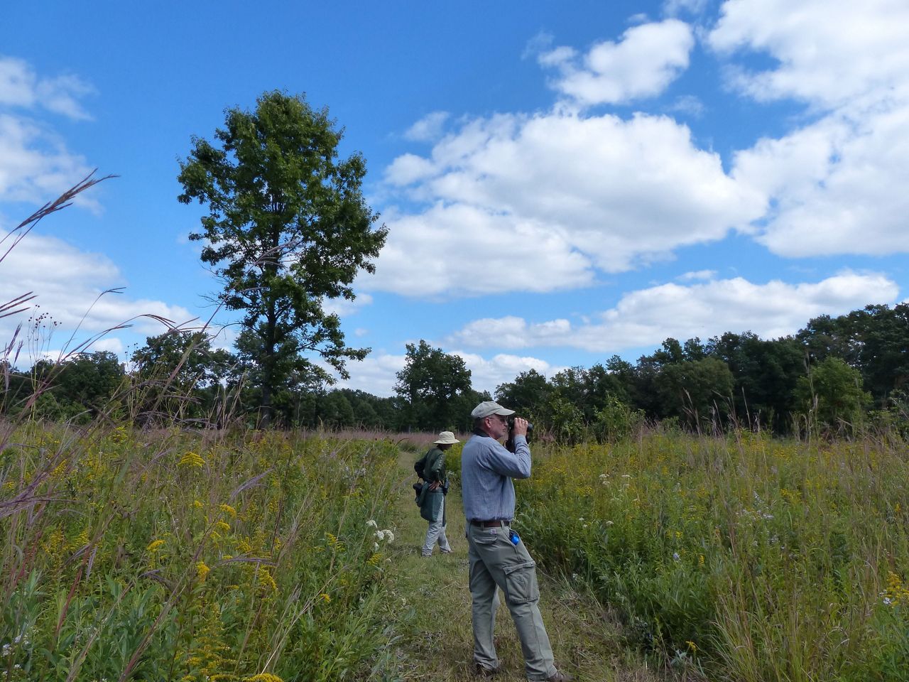 Kitty Todd Nature Preserve The Nature Conservancy