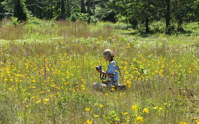 A woman sitting in a field of yellow and purple wildflowers holding a camera.