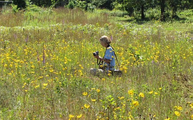 A woman sits in a field of wildflowers, taking photos.