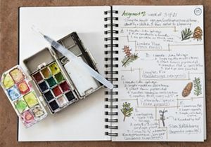 Colored pencils lay on an open journal with nature drawings and descriptions. 