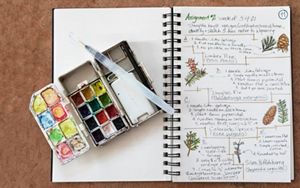 Watercolor tin and nature paintings in an open notebook.