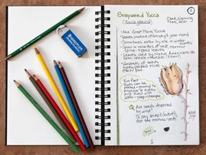 Colored pencils lay on an open journal with nature drawings and descriptions. 