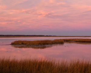 The rising sun bathes a coastal wetland in Maryland in soft pink light. Small islands of marsh grass dot the open water.