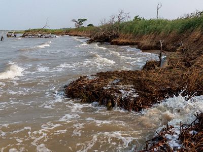 Waves lap against a ragged coastline of exposed marsh.