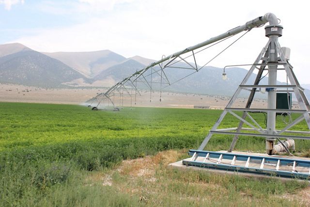 A green field surrounded by mountains. 