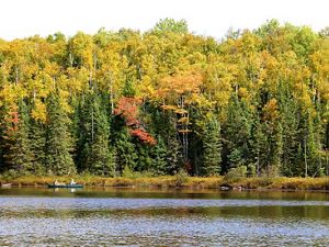 , Catherine Wolter Wilderness Area, Border Lakes, Wisconsin