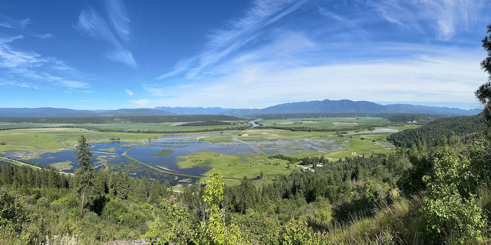 View from a high vantage point looking across a wide landscape of green fields, wetlands, and mountains in the distance.