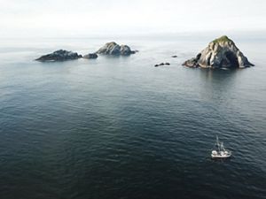 fishing boat next to an island