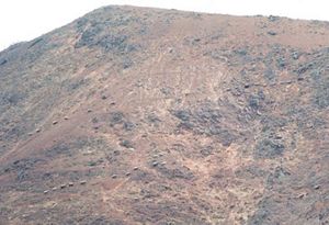 Before restoration on Santa Cruz Island, showing a dry, dirt landscape with feral sheep roaming the hillsides.