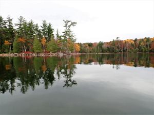 Trees and sky reflected onto the water at Kuwesuwi Monihq (Pine Island) in Maine.