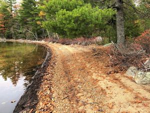 View of Kuwesuwi Monihq (Pine Island) shoreline in Maine.