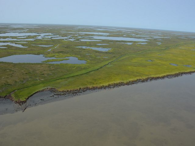 Kuskokwim Bay