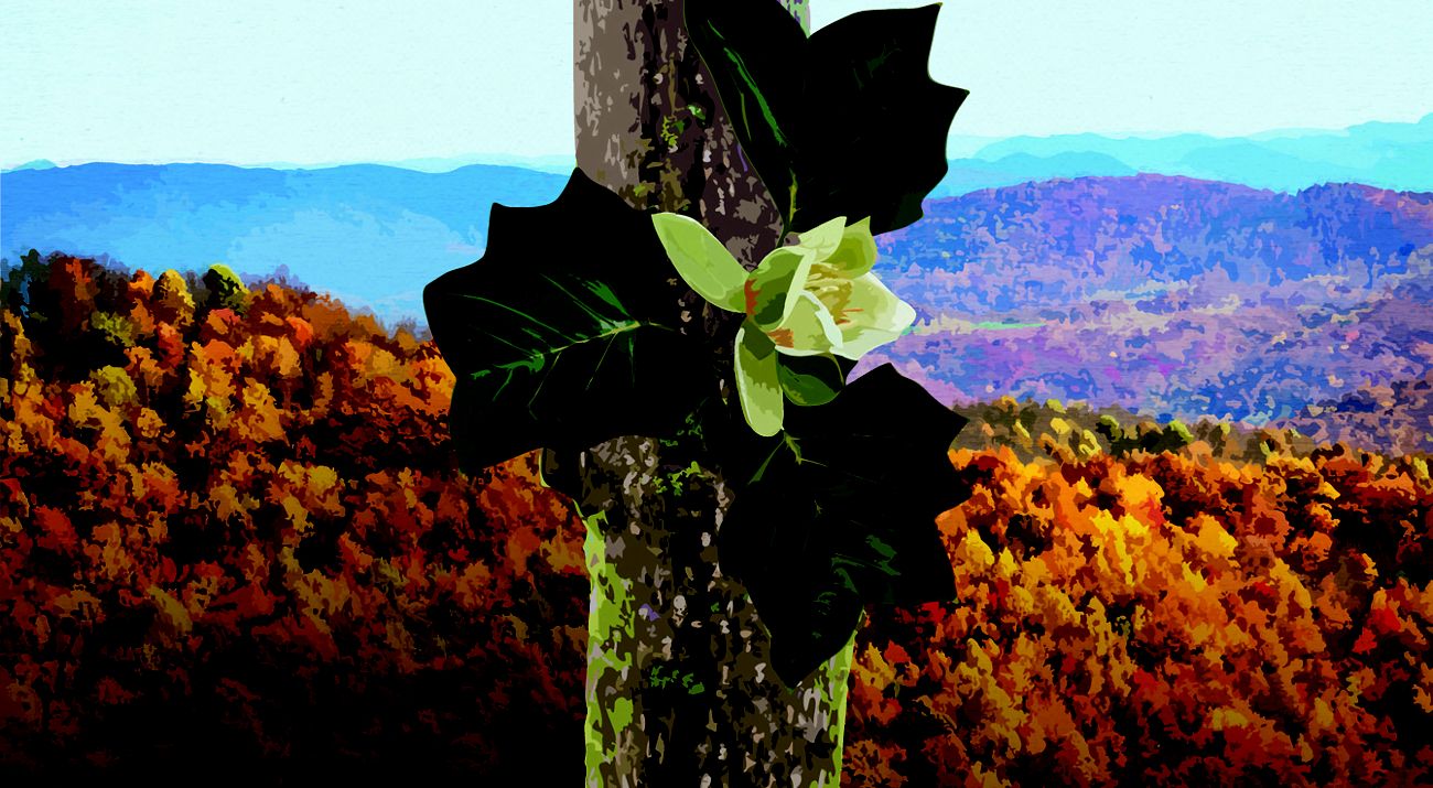 Illustrated painting of fall colors in the mountains in Kentucky.