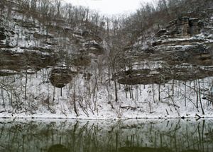 Barren trees and snow line the river in the Kentucky River Palisades region of Depree Nature Preserve.