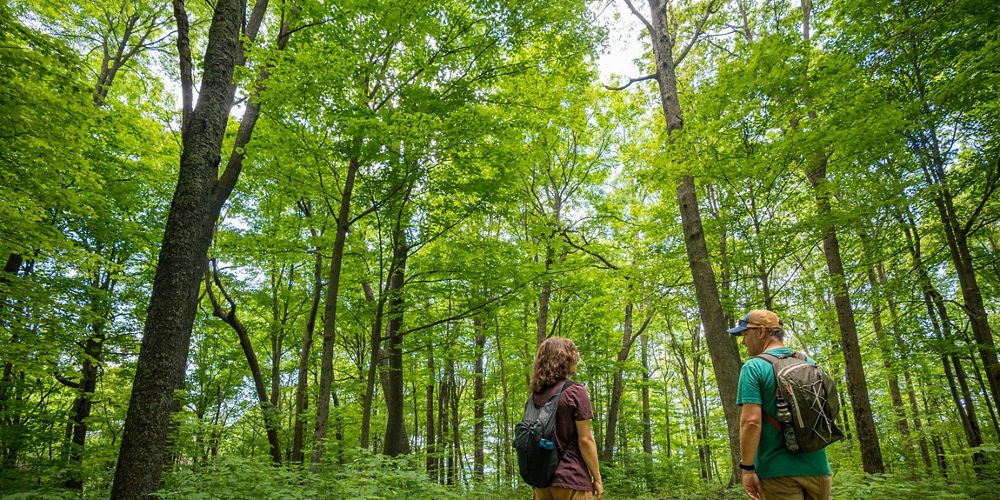 Nature Conservancy