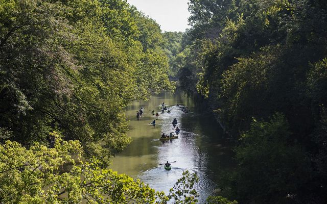 Aerial view of a people in kayaks and canoes floating down a river with large trees on the banks.