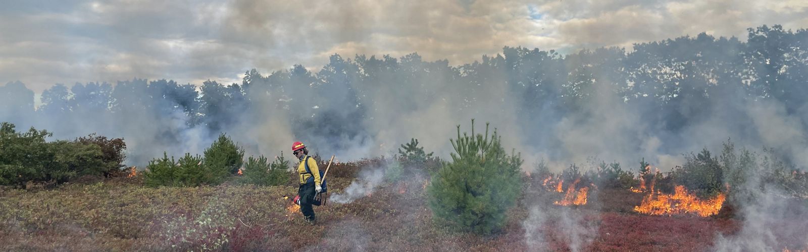 A person wearing fire-protective gear walks away from vegetation that is burning during a prescribed fire.