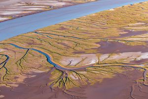 Aerial view of the Colorado River Delta and its many rivulets.