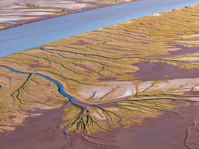 Aerial view of the Colorado River Delta and its many rivulets.