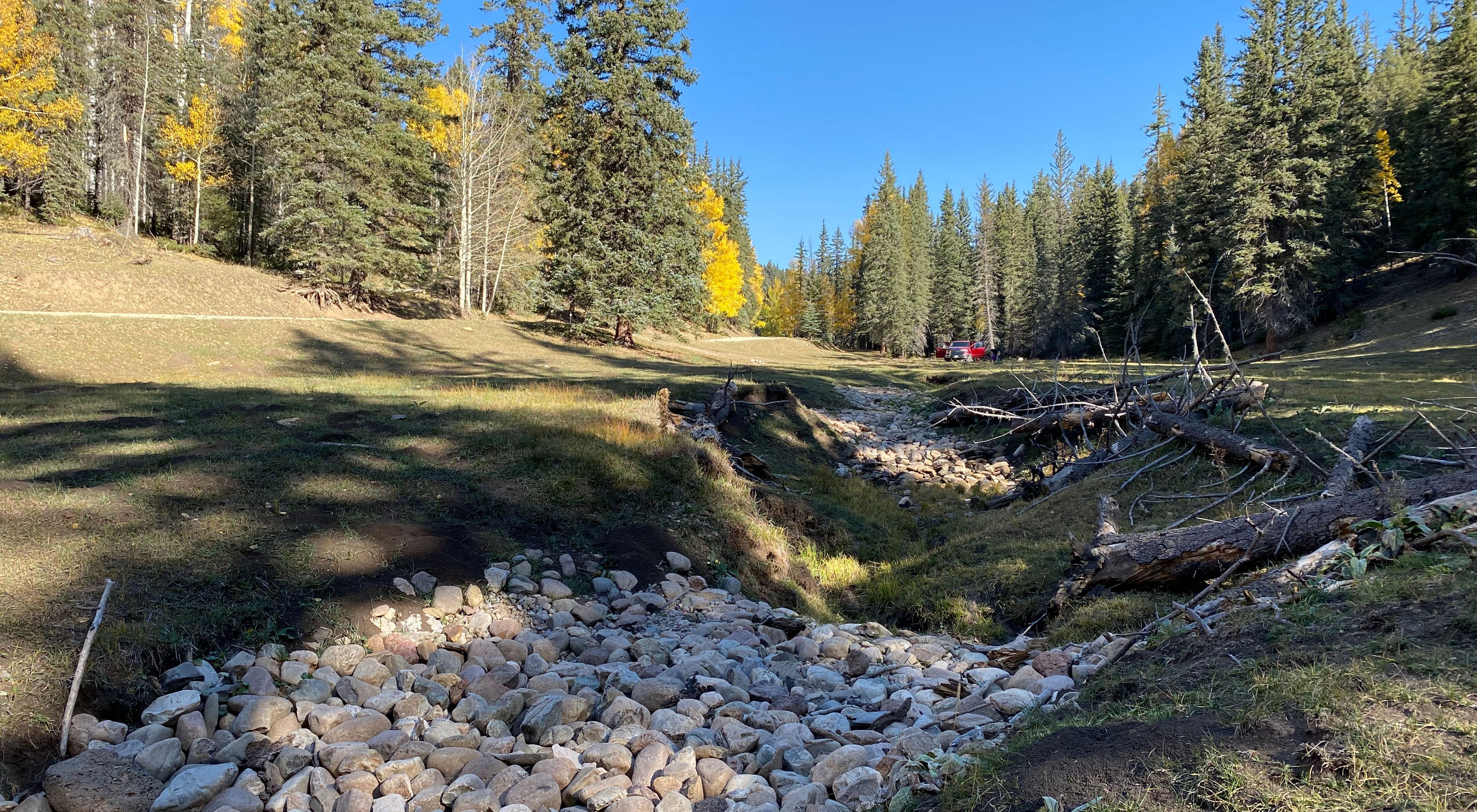 A rehabilitated stream surround by pine trees in La Jara Wetlands, New Mexico.