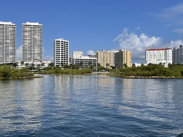 The palm and mangrove-lined shoreline of Lake Worth Lagoon with part of the skyline of West Palm Beach in the background.