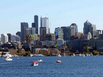 In urban waters like Lake Union, stormwater may kill up to 80 percent of migrating coho salmon before they have had a chance to spawn.