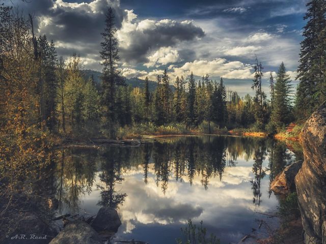 Lago forestal cerca de McCall, Oregón.