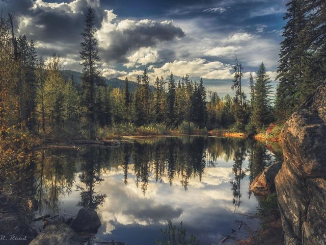 A wide view of a lake surrounded by forest near McCall, Oregon.