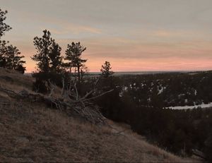 Winter landscape shot of Black Hills with tree snag in the foreground.