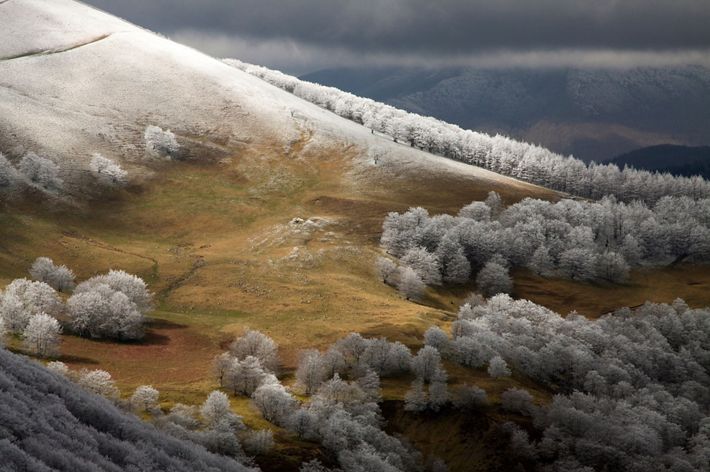 Slope of Mount Adi, in Navarra.