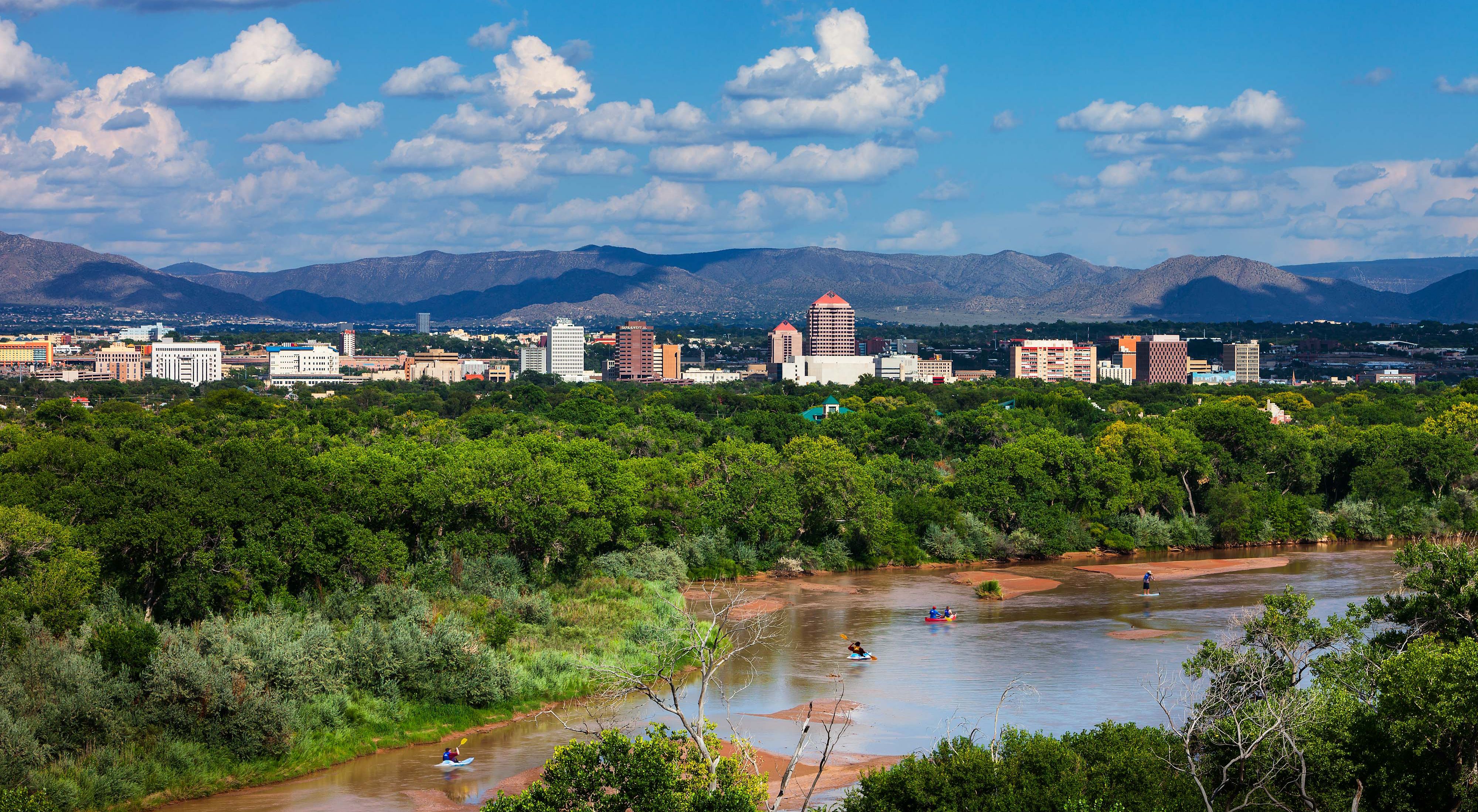 A view from a high vantage point looking over a muddy river with kayakers on it towards trees and a city skyline with mountains in the distance.