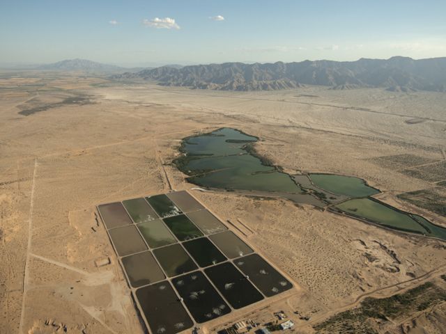 The Las Arenitas water treatment plant, with its oxidation pools and wetlands, lies in stark contrast to its desert surroundings.