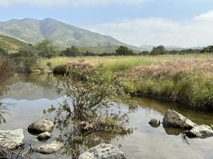 A creek in Proctor Valley with mountains in the background.