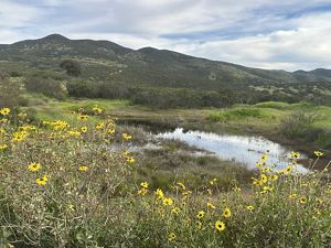 A creek in Proctor Valley with mountains in the background.