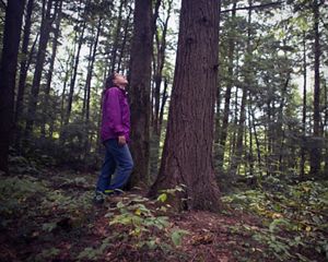 A woman stands in the forest, looking up at the trees.