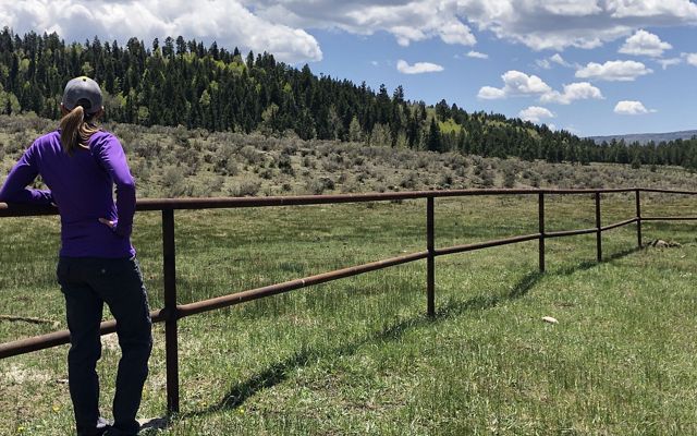 A person stands next to a simple two-run metal fence that stretches across a field.