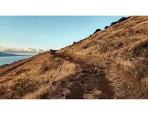 Trail on the side of a hill. 
