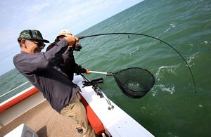 Lake Erie Sport Fishing