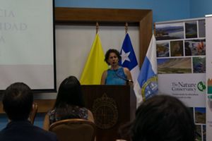 Ministra de Medio Ambiente, Maisa Rojas