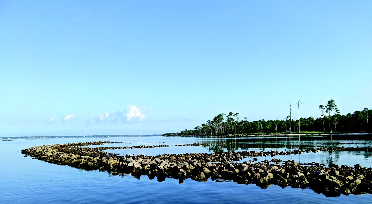 Piles of gray and brown shells create a path out into calm waters.
