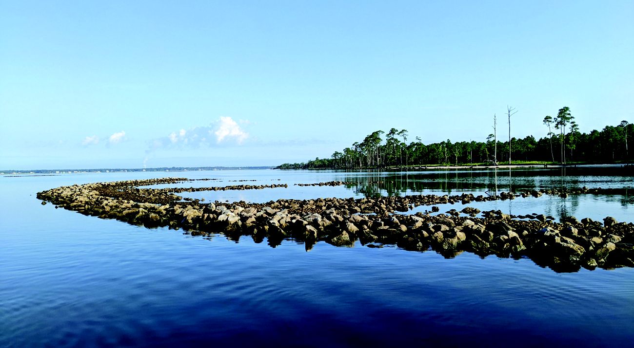 The top of an oyster reef is exposed at low tide. The reef curves along the edge of the water.