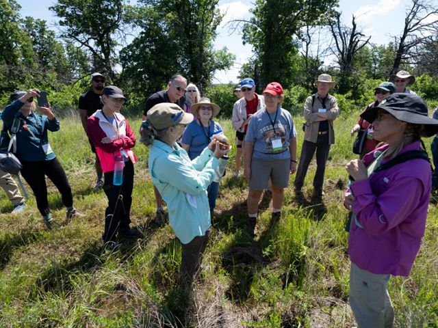 A group of people in hiking attire stand in a wooded glade conversing.