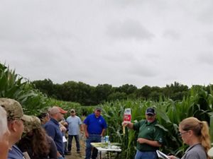 A farmer explains corn to 12 veterans in a cornfield.
