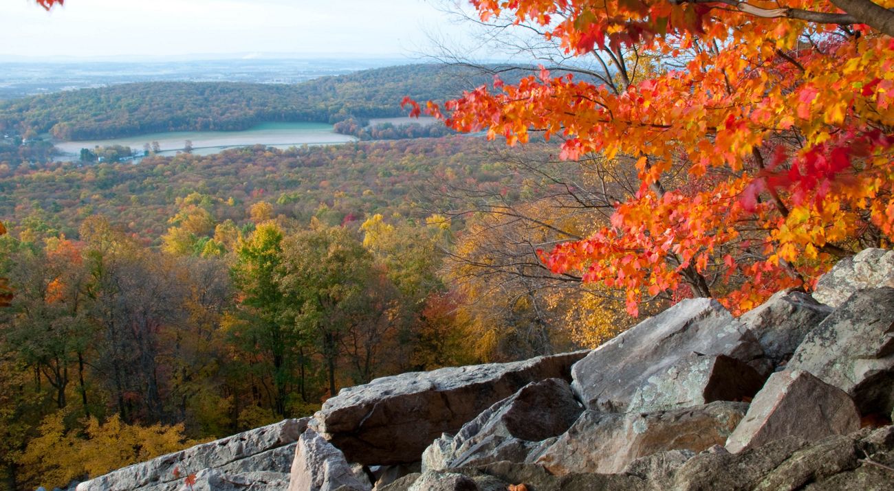 A rocky outcrop frames a view of a river valley. The river curves and bends into the distance on the right. The buildings of a large town cluster along the river banks.