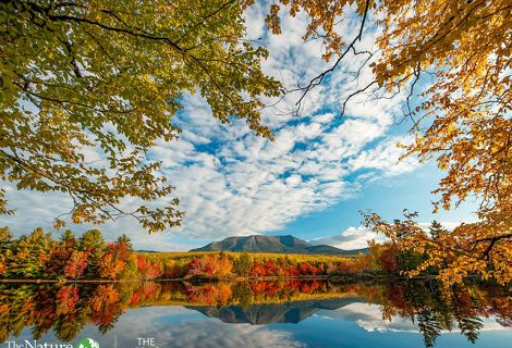 Fall trees near water