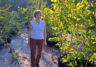 Person walking through young potted trees.