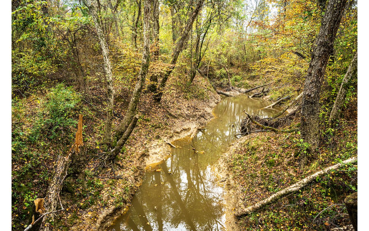 Lennox Woods Preserve The Nature Conservancy