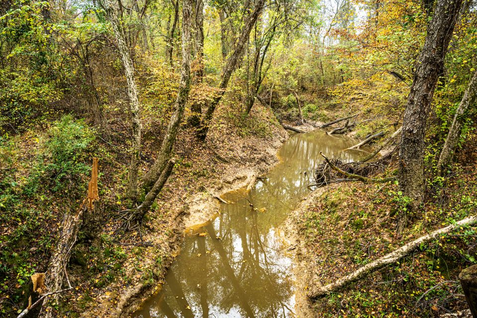 Lennox Woods Preserve | The Nature Conservancy