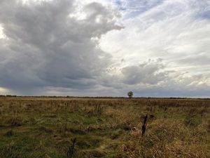 A large grassland expanse under a mostly cloudy sky. 